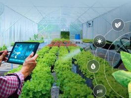 India-Australia RISE Accelerator Invites Start-ups for Climate Smart Agritech Innovations