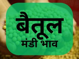 Betul Mandi Bhav Today featuring latest prices for wheat, soybean, gram, maize, and pulses.