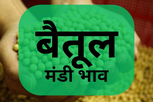 Betul Mandi Bhav Today featuring latest prices for wheat, soybean, gram, maize, and pulses.