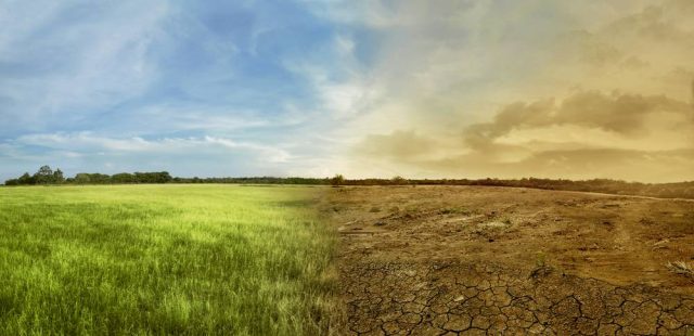 PM Modi Unveils Climate-Resilient and Biofortified Crop Varieties